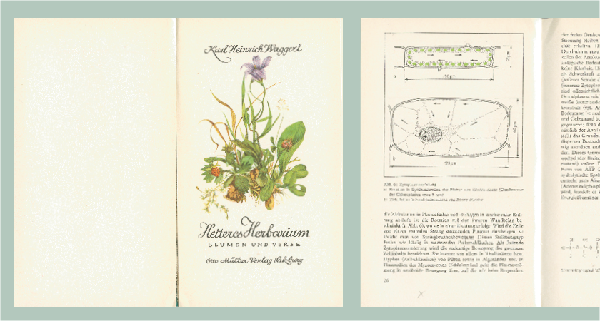 Herbarium book